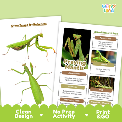 Two printed educational activity sheets about praying mantises shown on a light green background. One sheet has a large green praying mantis photo labeled 'Other Image for References,' and the other is an 'Animal Research Page' with text boxes about appearance, habitat, adaptations, life cycle, diet, and interesting facts, plus a small photo of a mantis.