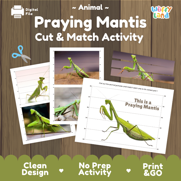 Praying Mantis Cut and Match Activity Printables Worksheets