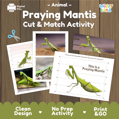 Praying Mantis Cut and Match Activity Printables Worksheets