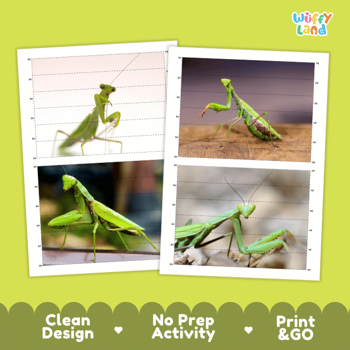 Praying Mantis Cut and Match Activity Printables Worksheets