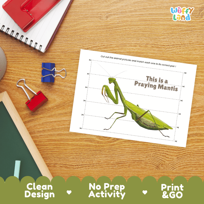Praying Mantis Cut and Match Activity Printables Worksheets