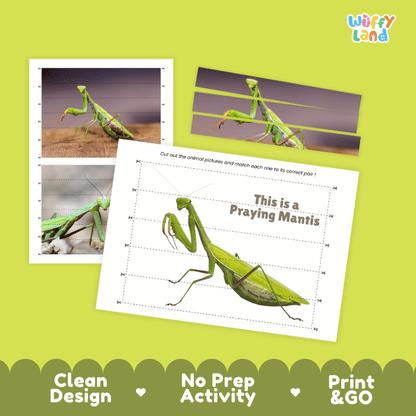 Praying Mantis Cut and Match Activity Printables Worksheets