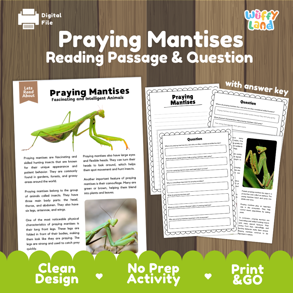 Praying Mantises Reading Passage and Comprehension Questions Worksheets with Answer Key