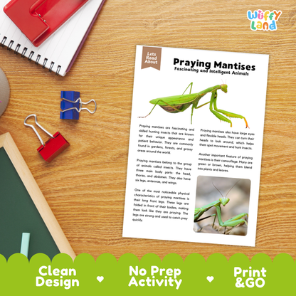Praying Mantises Reading Passage and Comprehension Questions Worksheets with Answer Key