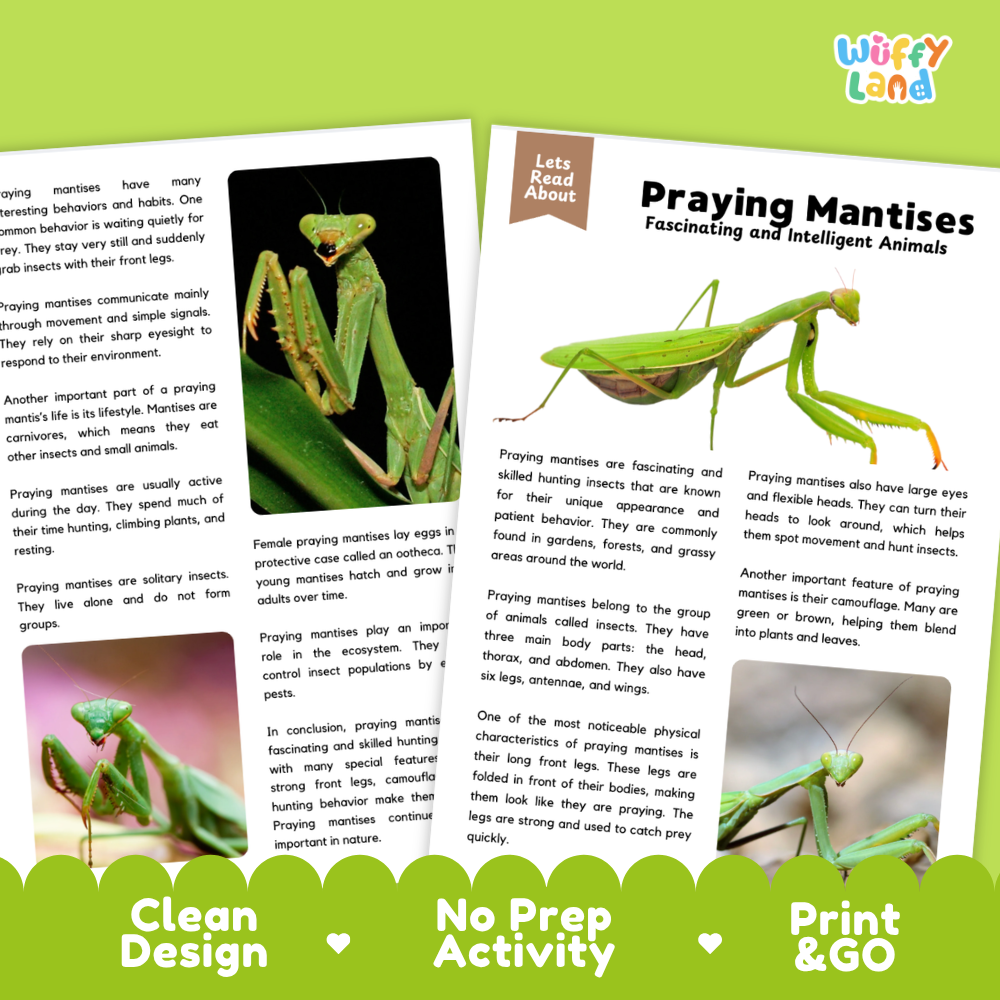 Praying Mantises Reading Passage and Comprehension Questions Worksheets with Answer Key