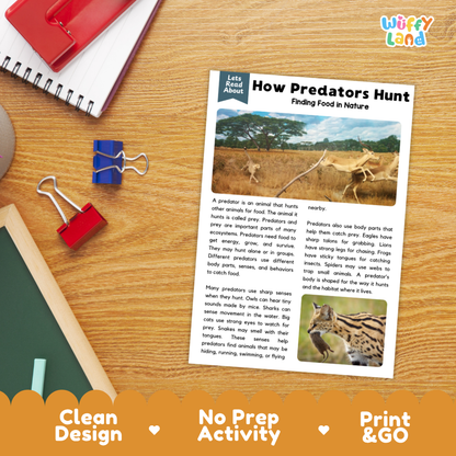Printable student worksheet with short-answer reading comprehension questions covering predators and ecology