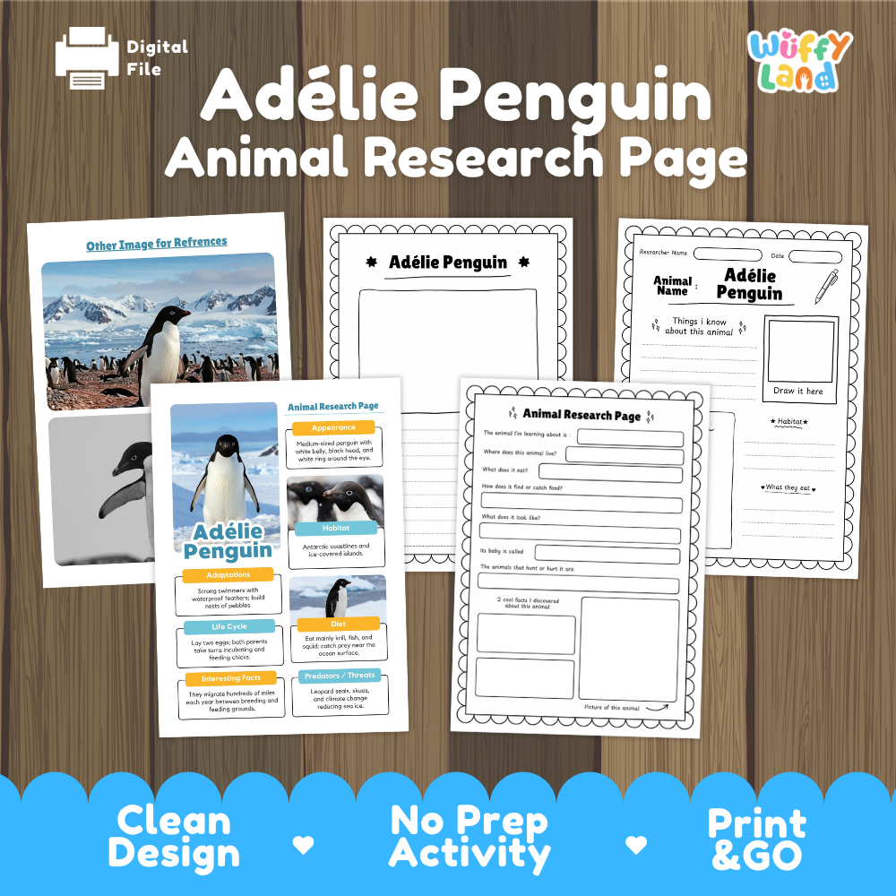 Clean design no prep print and go Adelie penguin animal life cycle study printable PDF pack for elementary science