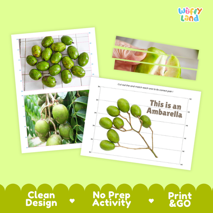Clean design no prep print and go ambarella cut and match activity printable PDF pack