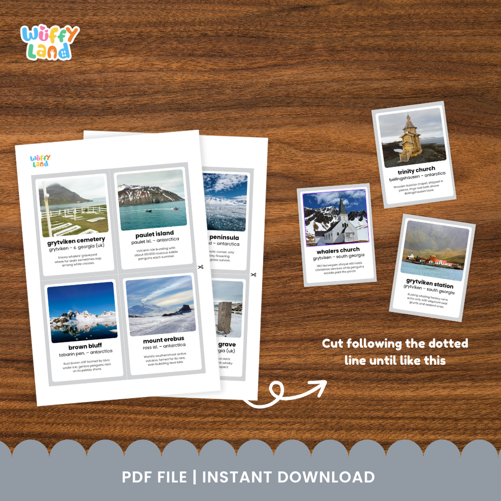 Clean design no prep print and go Antarctica landmarks fun fact flashcards polar geography educational printable PDF pack