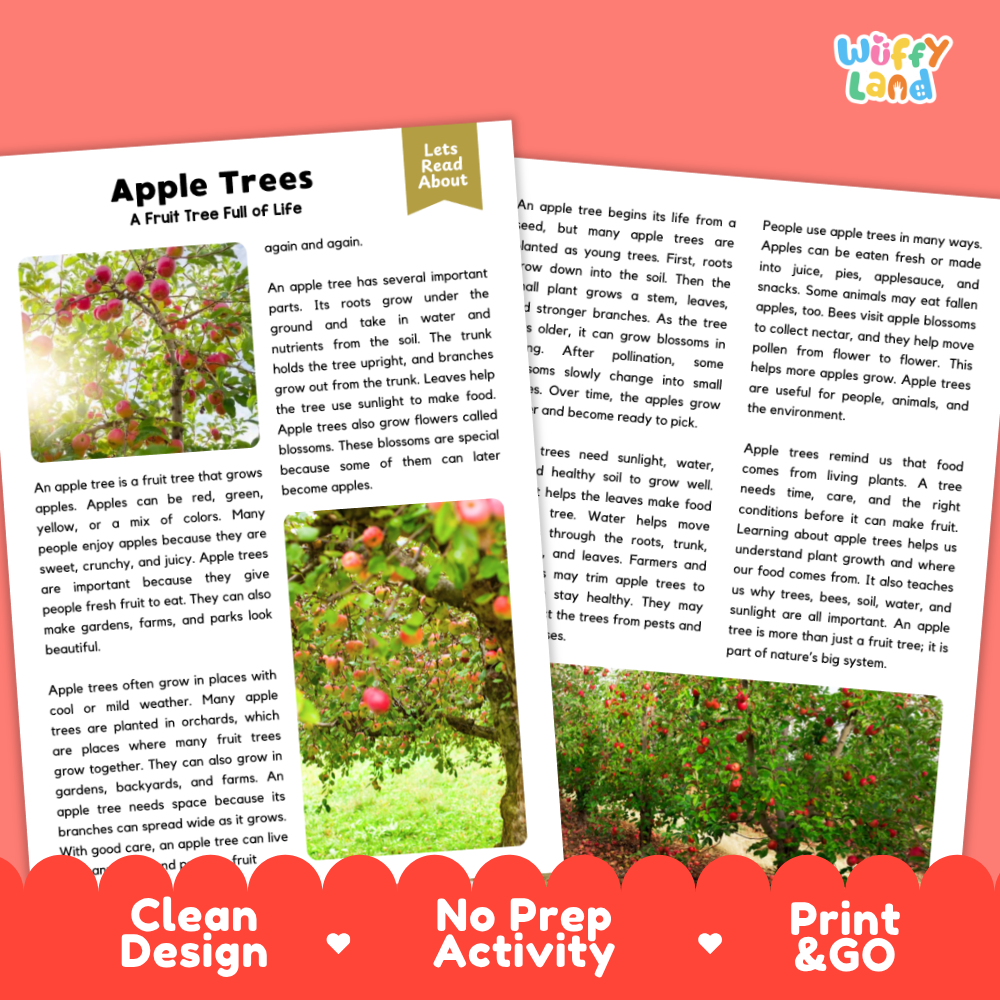 Clean design no prep print and go apple tree plant reading passages printable PDF pack