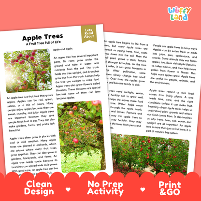 Clean design no prep print and go apple tree plant reading passages printable PDF pack