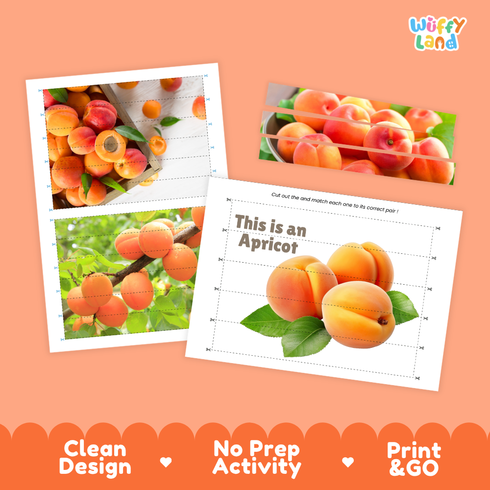 Clean design no prep print and go apricot cut and match activity printable PDF pack