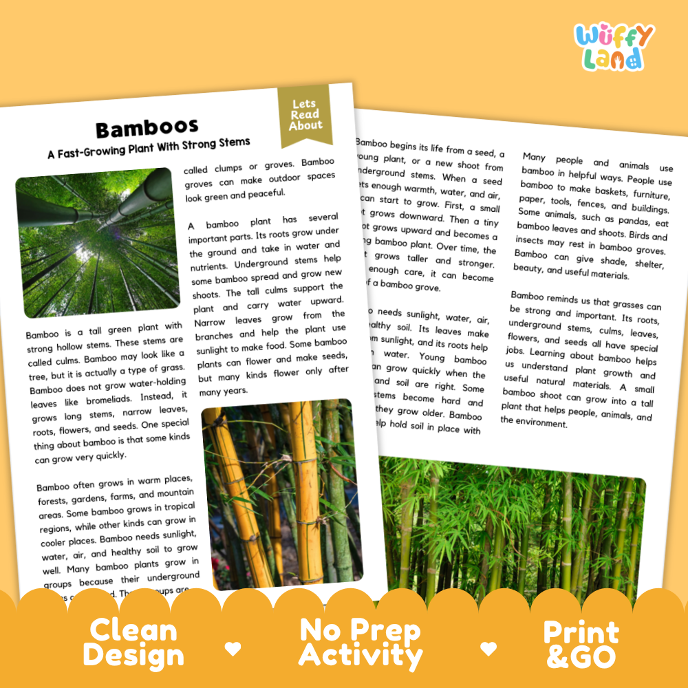 Clean design no prep print and go bamboo plant reading passages printable PDF pack