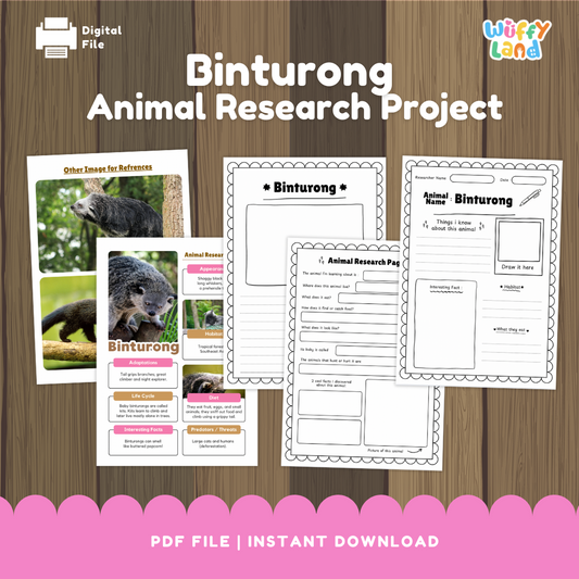 Clean design no prep print and go binturong rainforest mammal animal life cycle study printable PDF pack for elementary science