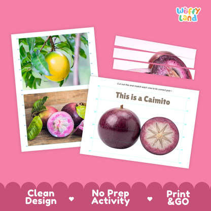 Clean design no prep print and go caimito cut and match activity printable PDF pack