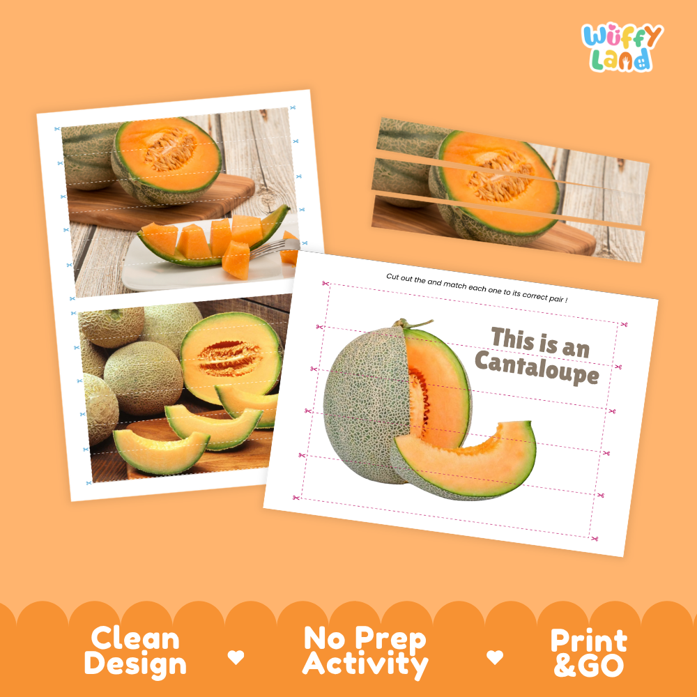 Clean design no prep print and go cantaloupe cut and match activity printable PDF pack