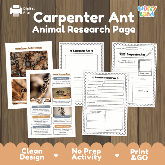 Clean design no prep print and go carpenter ant insect life cycle study printable PDF pack for elementary science