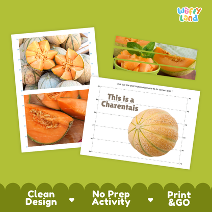 Clean design no prep print and go Charentais cut and match activity printable PDF pack
