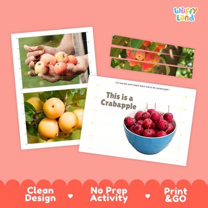 Clean design no prep print and go crabapple cut and match activity printable PDF pack