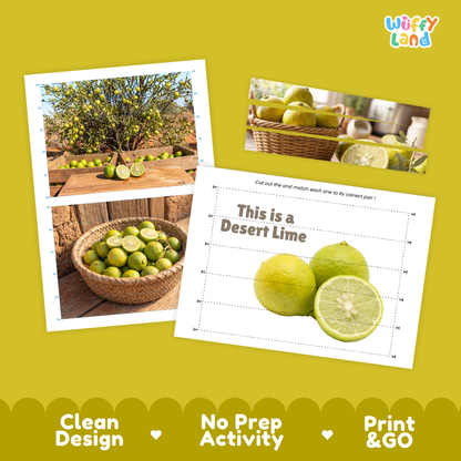 Clean design no prep print and go desert lime cut and match activity printable PDF pack