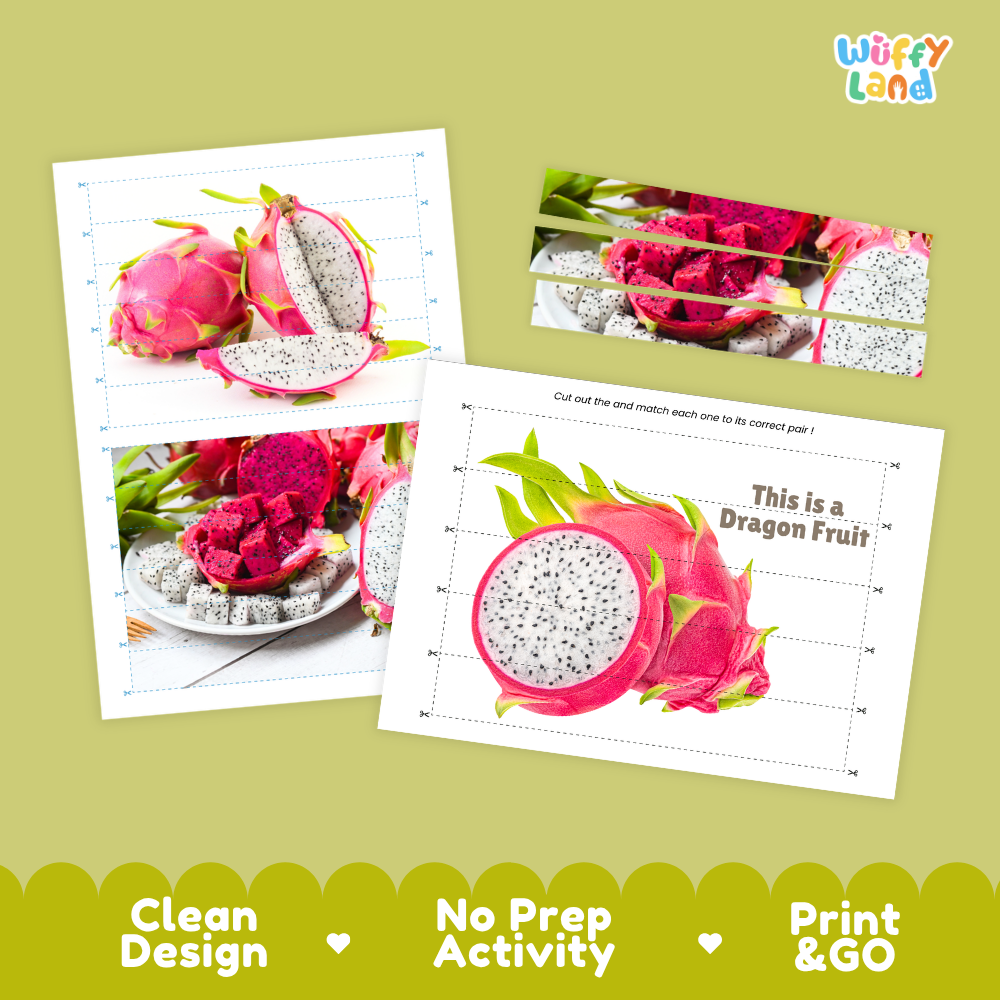 Clean design no prep print and go dragon fruit cut and match activity printable PDF pack
