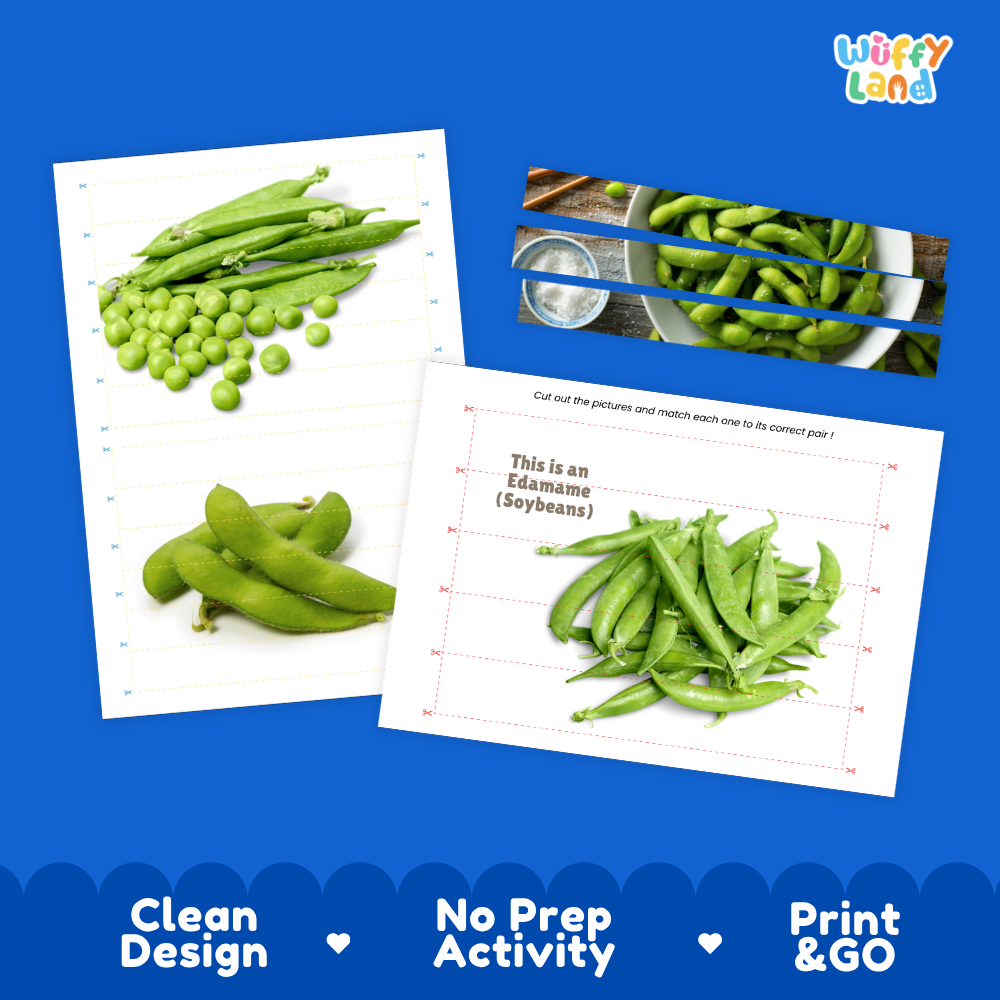 Clean design no prep print and go edamame soybeans cut and match activity printable PDF pack