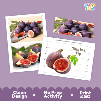 Clean design no prep print and go fig cut and match activity printable PDF pack