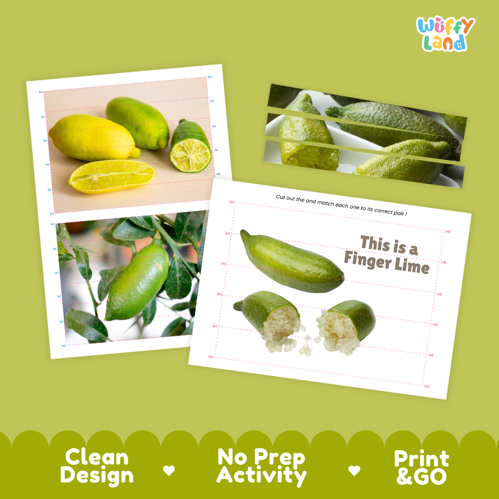 Clean design no prep print and go finger lime cut and match activity printable PDF pack