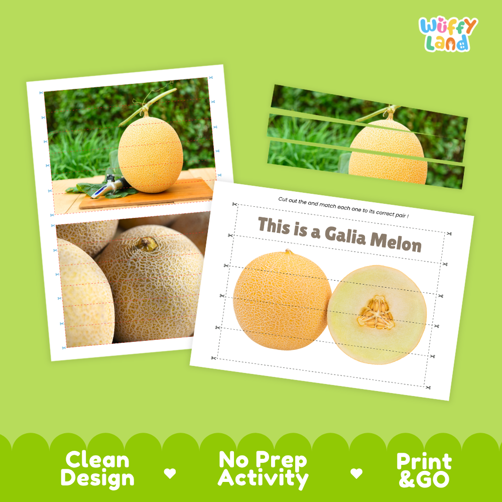Clean design no prep print and go Galia melon cut and match activity printable PDF pack