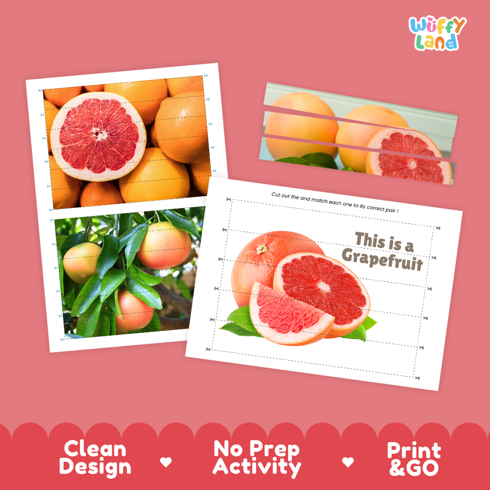 Clean design no prep print and go grapefruit cut and match activity printable PDF pack