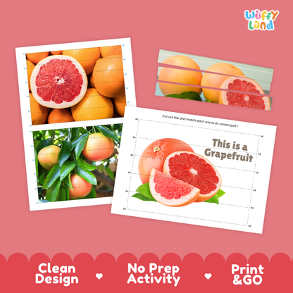 Clean design no prep print and go grapefruit cut and match activity printable PDF pack