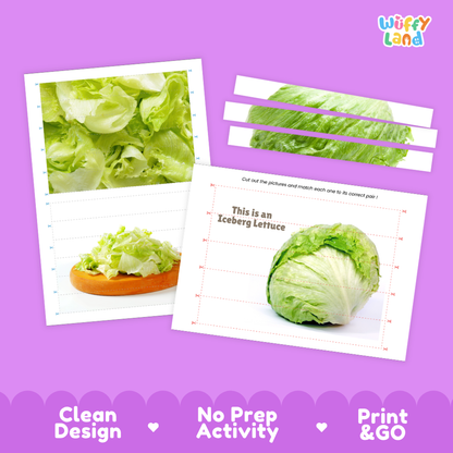 Clean design no prep print and go iceberg lettuce cut and match activity printable PDF pack