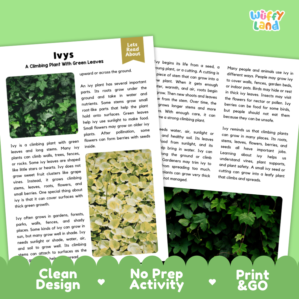 Clean design no prep print and go ivy plant reading passages printable PDF pack