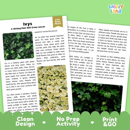 Clean design no prep print and go ivy plant reading passages printable PDF pack