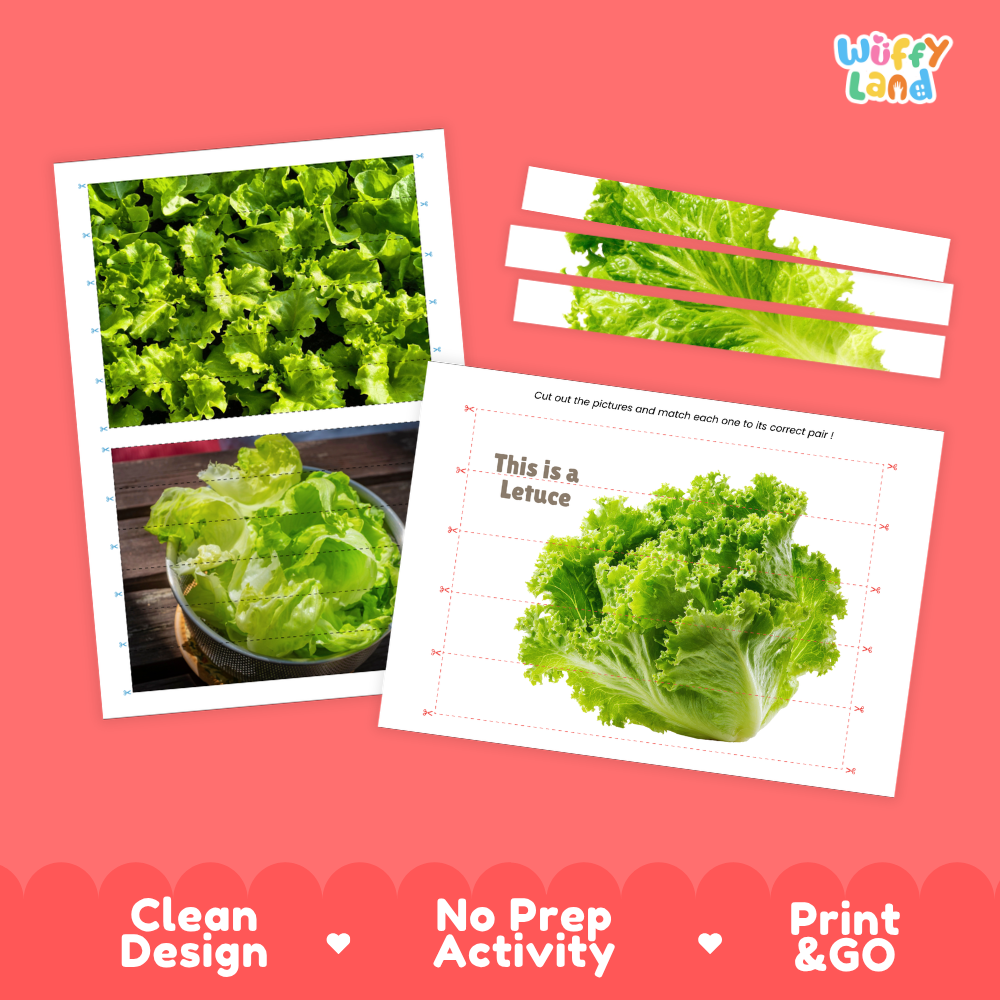 Clean design no prep print and go lettuce cut and match activity printable PDF pack