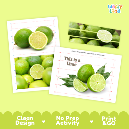 Clean design no prep print and go lime cut and match activity printable PDF pack