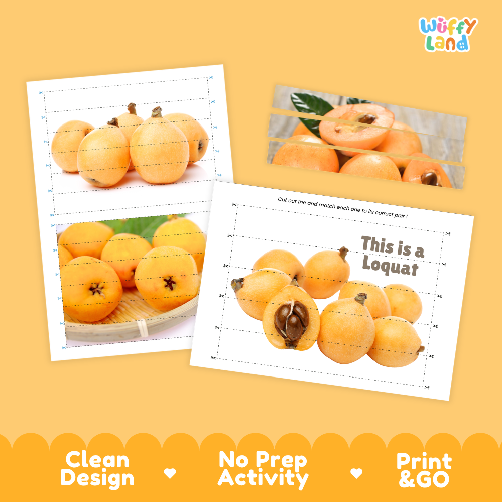 Clean design no prep print and go loquat cut and match activity printable PDF pack
