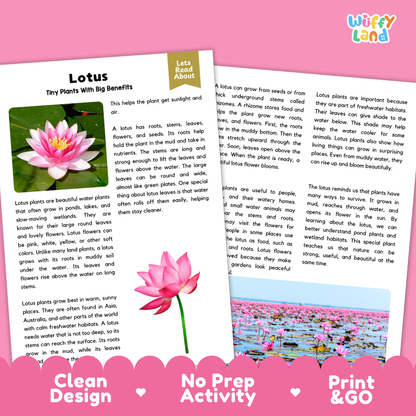 Clean design no prep print and go lotus plant reading passages printable PDF pack