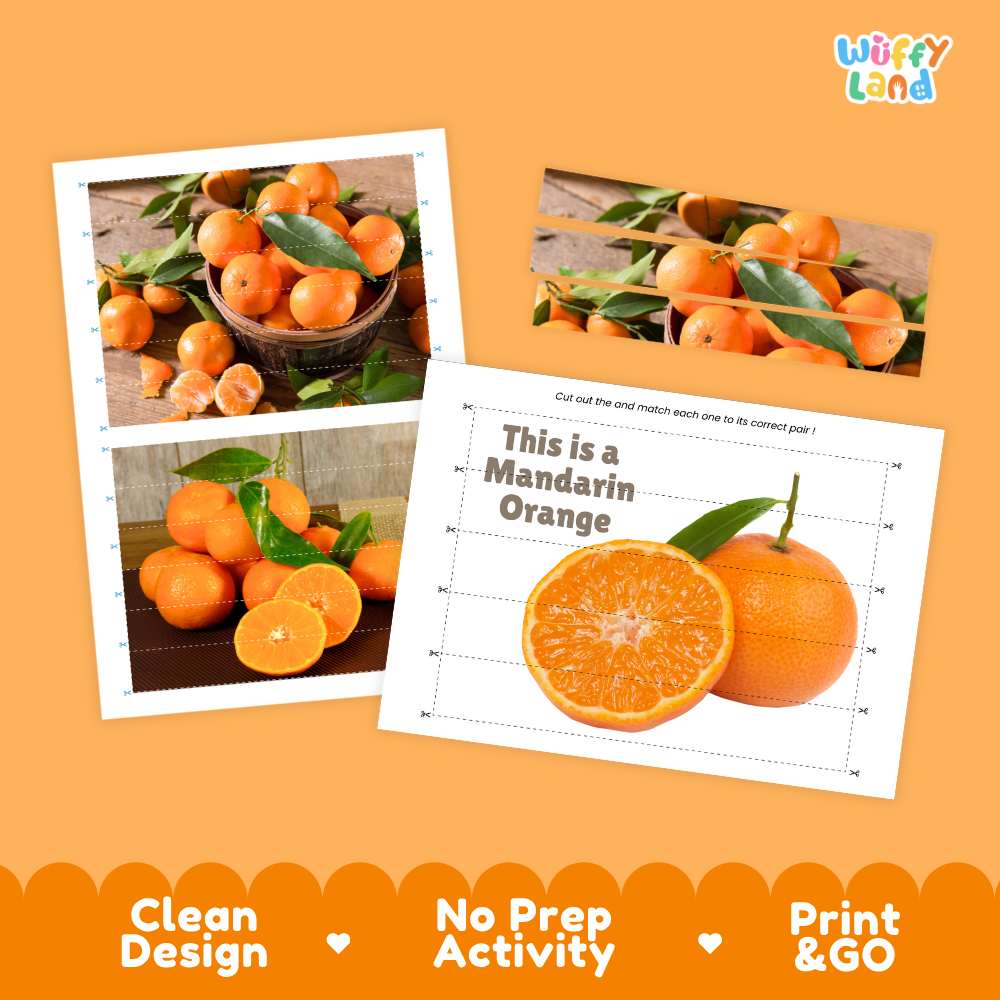 Clean design no prep print and go mandarin orange cut and match activity printable PDF pack