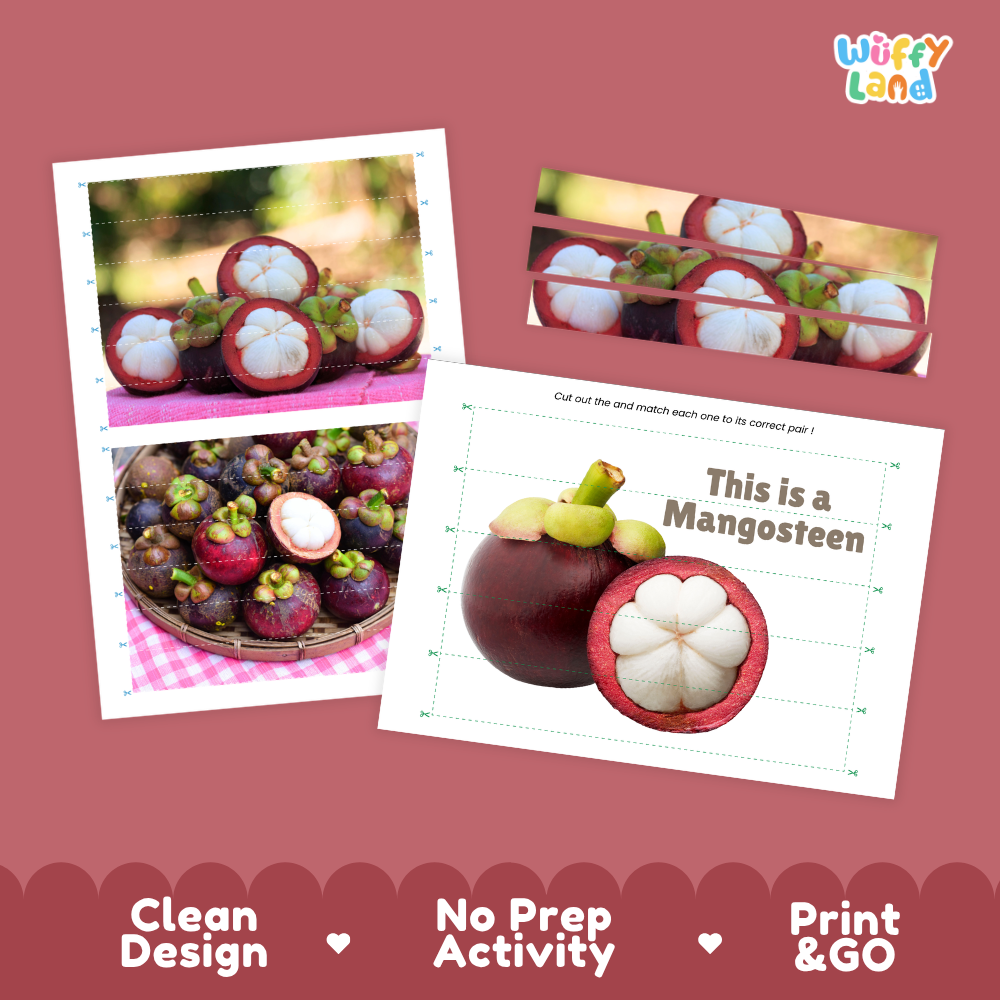 Clean design no prep print and go mangosteen cut and match activity printable PDF pack