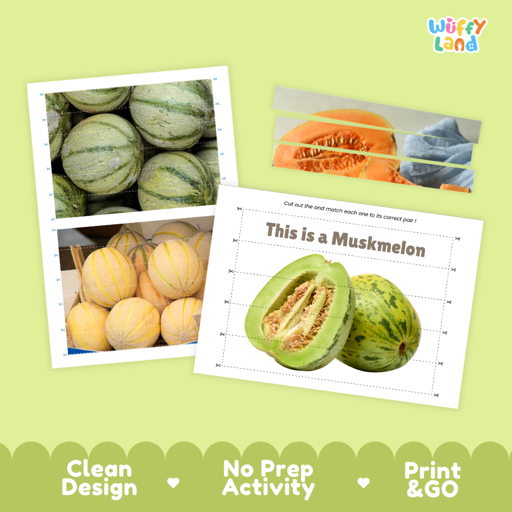 Clean design no prep print and go muskmelon cut and match activity printable PDF pack
