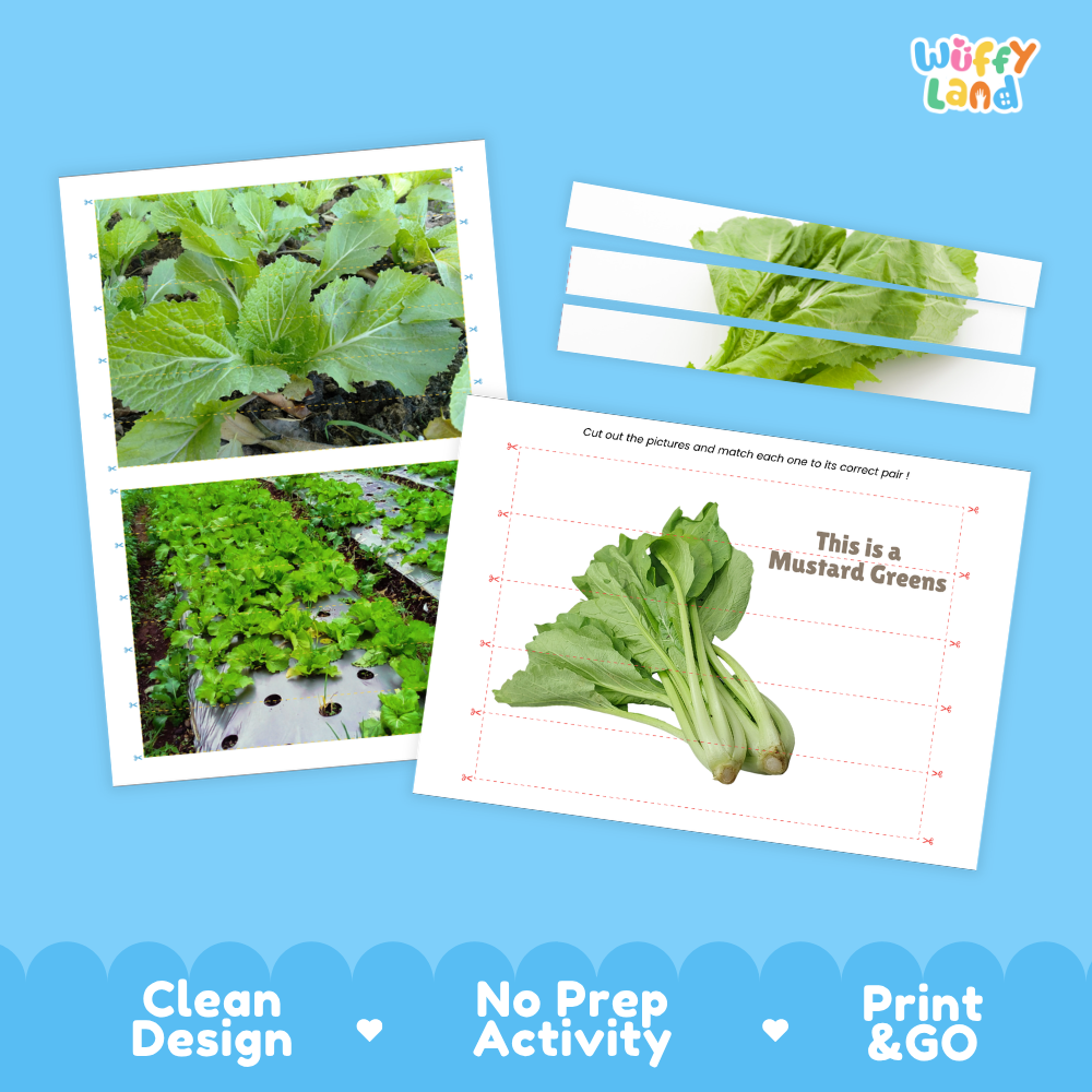 Clean design no prep print and go mustard greens cut and match activity printable PDF pack