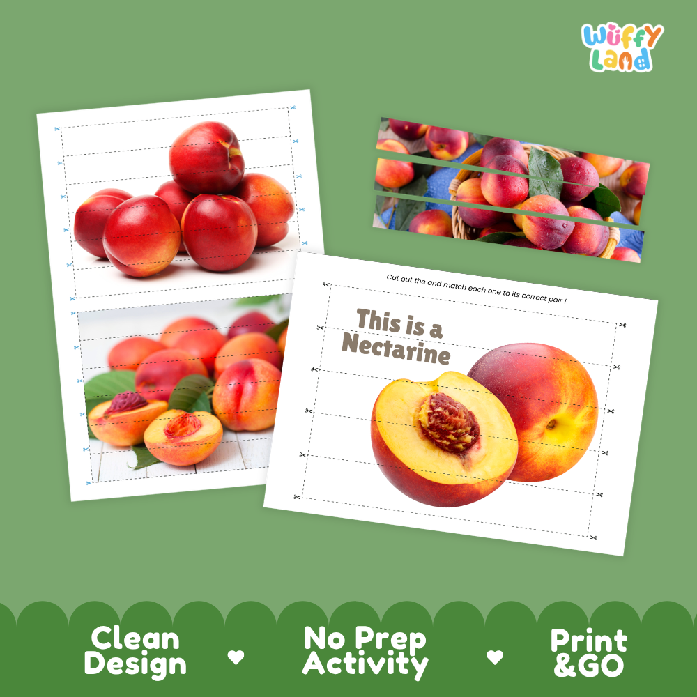 Clean design no prep print and go nectarine cut and match activity printable PDF pack