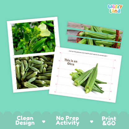Clean design no prep print and go okra cut and match activity printable PDF pack