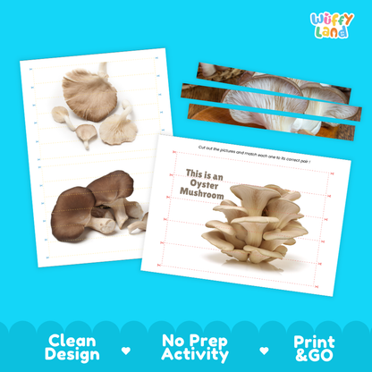Clean design no prep print and go oyster mushroom cut and match activity printable PDF pack