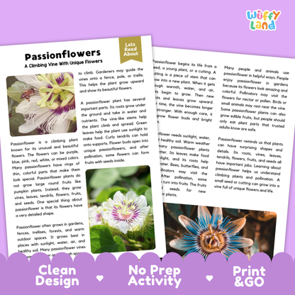 Clean design no prep print and go passionflower plant reading passages printable PDF pack