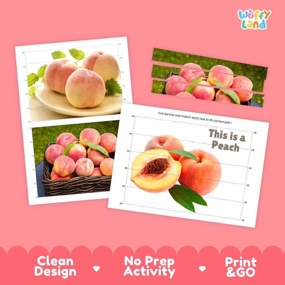 Clean design no prep print and go peach cut and match activity printable PDF pack