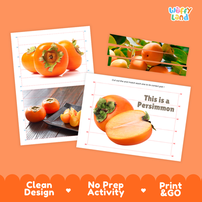 Clean design no prep print and go persimmon cut and match activity printable PDF pack