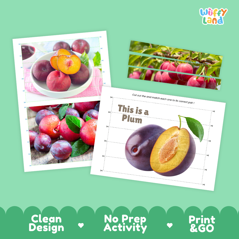 Clean design no prep print and go plum cut and match activity printable PDF pack