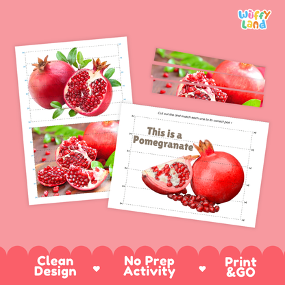 Clean design no prep print and go pomegranate cut and match activity printable PDF pack